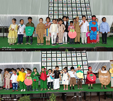 The Future of Sardana in Indian School Industry